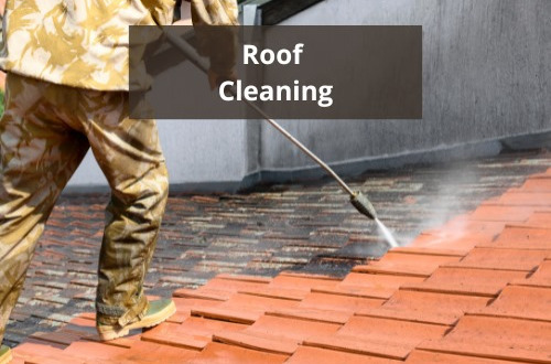 Roof Cleaning